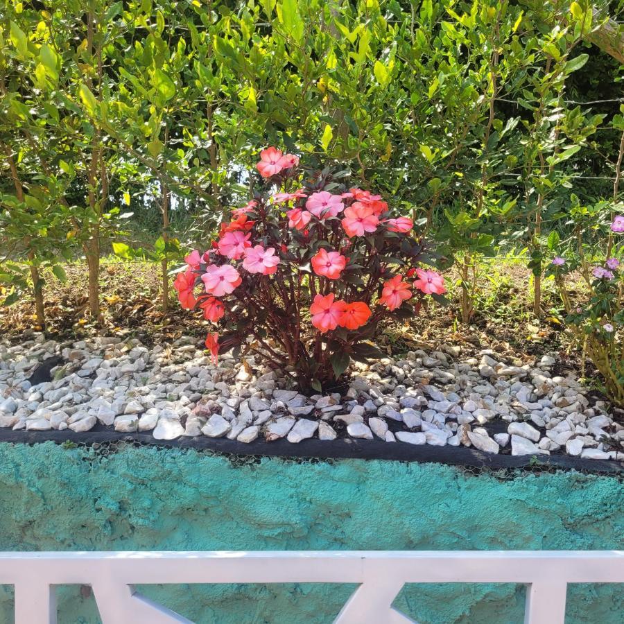 Finca Hotel El Turpial กิมบายา ภายนอก รูปภาพ